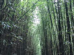 -井空里大峡谷