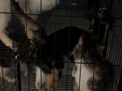 -中田健身工作室(嘉定江桥店)