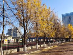 -辽宁大学(崇山校区)