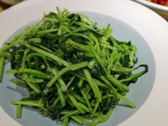 -鸽子窝(宋庄店)