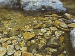 -花岩国家森林公园