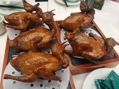 -五谷芳乳鸽王(海景店)