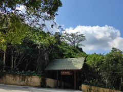 -海南槟榔谷黎苗文化旅游区