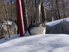 -崂山巨峰游览区