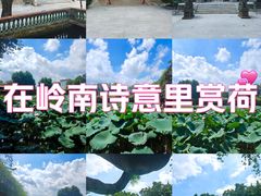 -宝墨园景区
