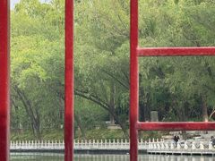 -皇家御河游(紫御湾码头)