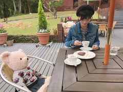 -伊豆泰迪熊博物馆