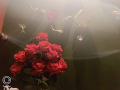 -魔厨私房菜(观音桥店)