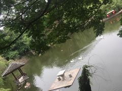-水绘园