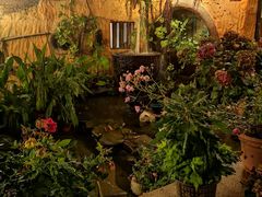 -园林美食城·本土农家菜(杨和镇店)