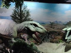 -国家自然博物馆