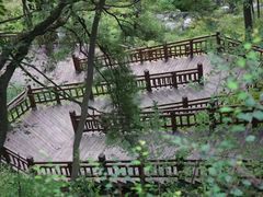 -陕西省红河谷森林公园