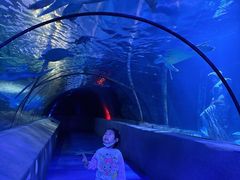 -太平洋海底世界