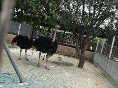 -迪茵湖田家舍生态农场