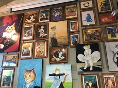 -猫咪博物馆(顶澳仔猫街店)