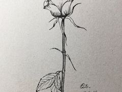 -八哥美术·成人美术画室(总校区)