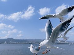 -海埂大坝