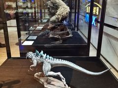 -英皇电影城(英皇集团中心IMAX店)