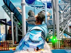 -青岛东方影都融创水世界