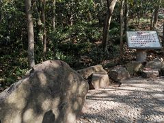 -上海佘山国家森林公园天马山园