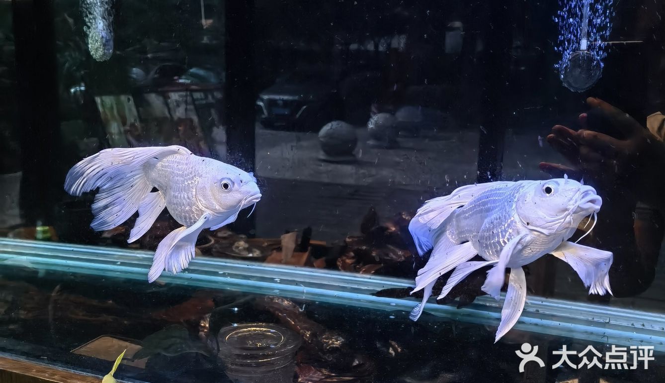 打边炉是火锅吗？