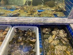 水产区-骏莱海鲜鱼港(五角场店)