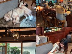 -咖法森林·咖啡  酒吧(天河店)