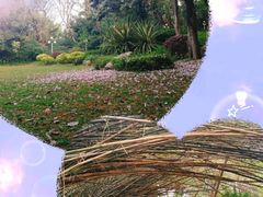 -人民公园(罗湖区)