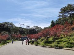 -广州市帽峰山景区