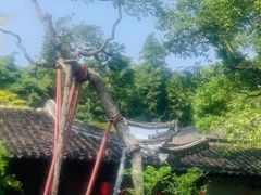 -上海醉白池公园