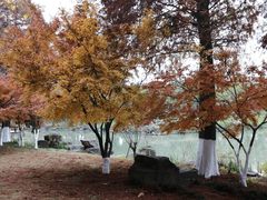 -狼山风景名胜区