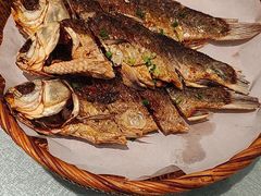 -辛香味烧鱼馆·非遗技艺·排骨红烧肉(光谷医药园店)