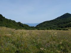 -白草畔自然风景区