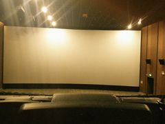 -汉阳天河电影城(王家湾店)