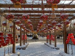 -葫芦古镇关东民俗雪乡