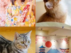 大堂-猫にゃん · 猫的隐藏屋猫咖(麦地旗舰店)