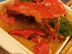 -茉莉.Red Crab