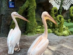 -波塞冬旅游度假区