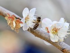 -广州市流溪河国家森林公园