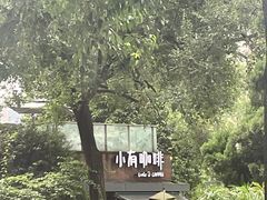 -成都市活水公园