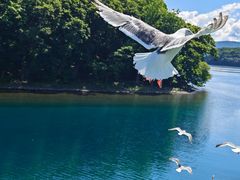 -洞爷湖万世阁酒店