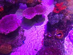 -沈阳海洋探索中心