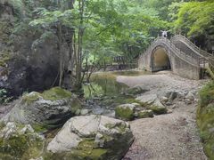 -牛背梁国家森林公园