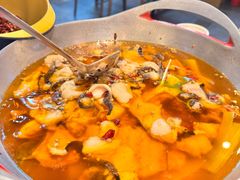 -向川南·水煮鱼·川菜(和平里店)
