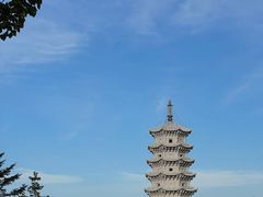 -嘉荫恐龙国家地质公园