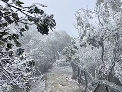 -梧桐山风景名胜区