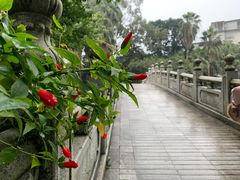 -柳侯公园
