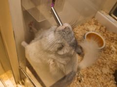 -龙猫仔乐园(惠福东路店)