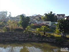 -世界恐龙谷景区