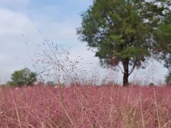 -汉长安城未央宫国家考古遗址公园